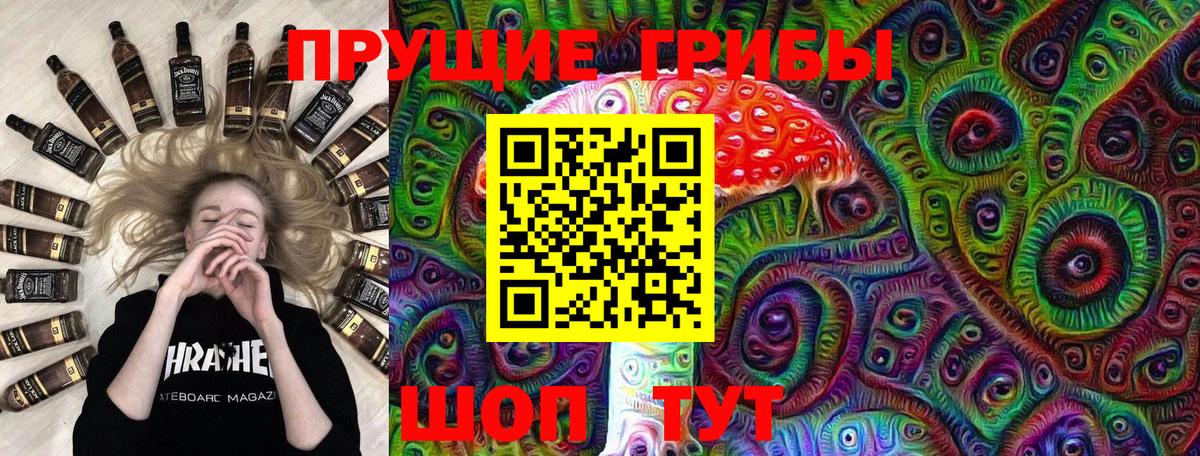 Псилоцибиновые грибы Magic Shrooms  Псилоцибиновые грибы GOLDEN TEACHER  Вход с VPN  Новозыбков 